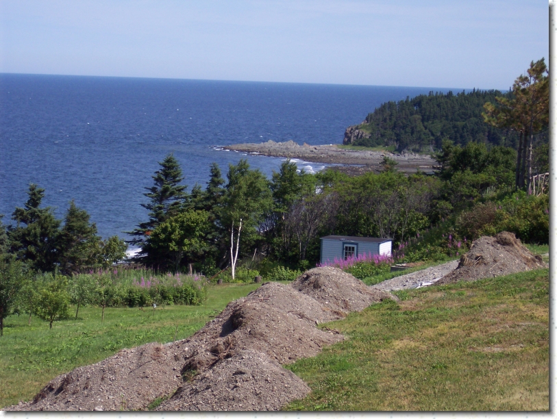 You have reached the last slide