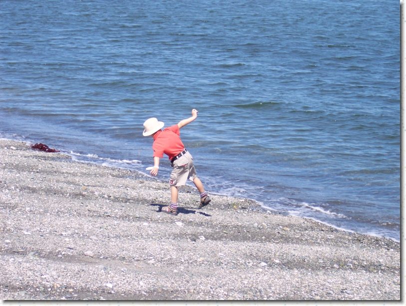 You have reached the last slide