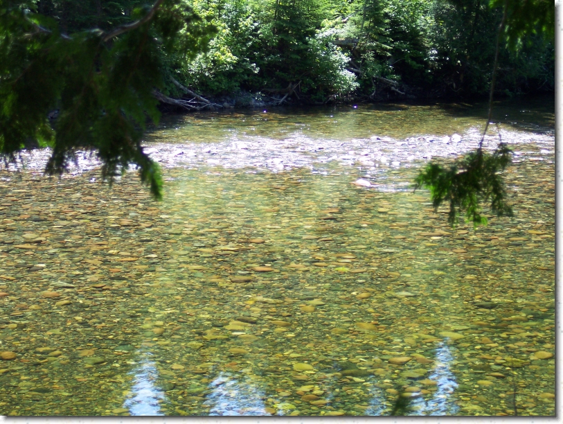 You have reached the last slide