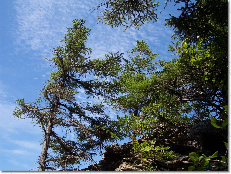 You have reached the last slide