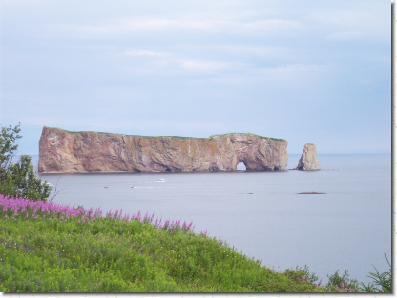 You have reached the last slide