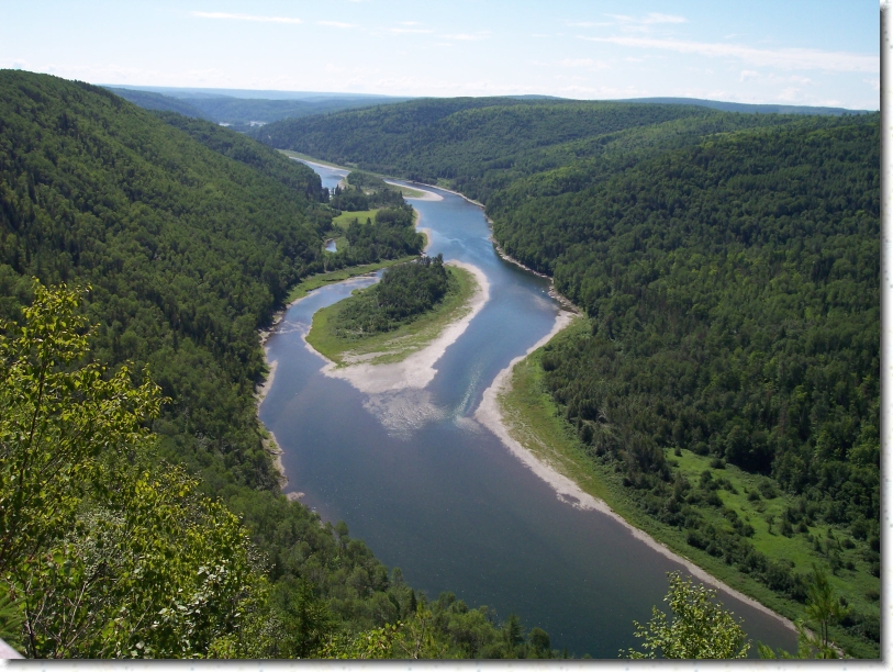 You have reached the last slide