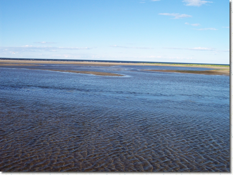 You have reached the last slide